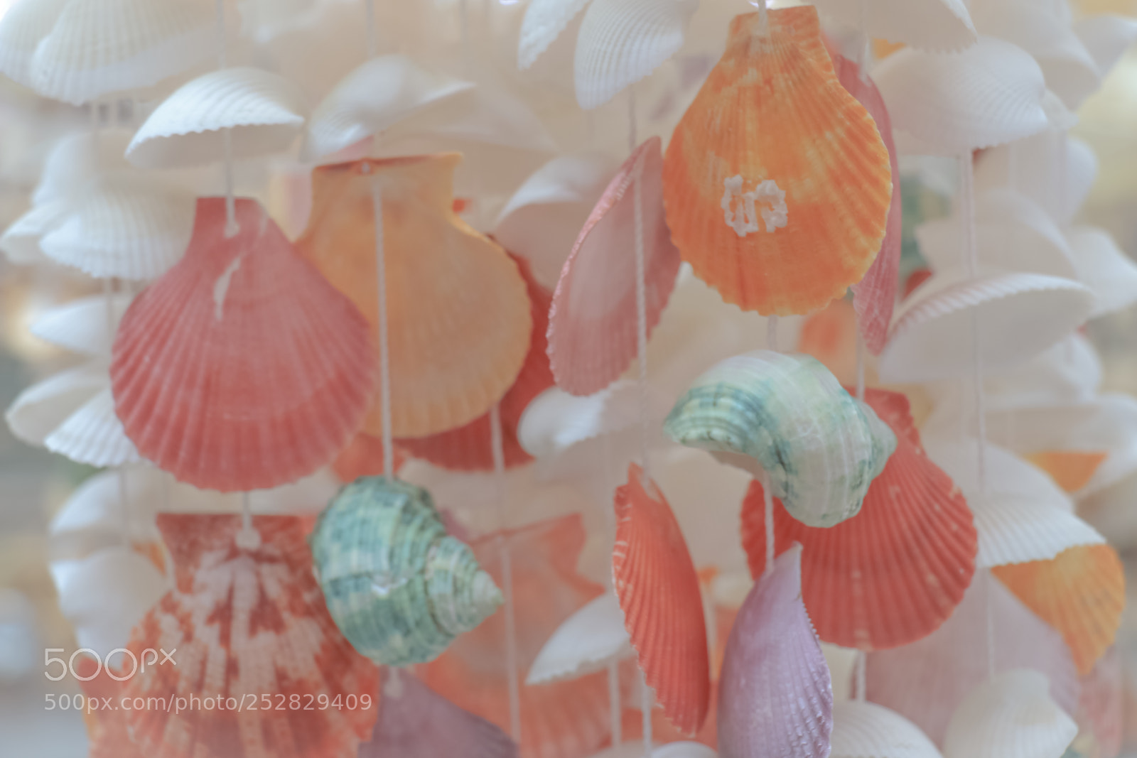 Canon EOS 70D sample photo. ... photography