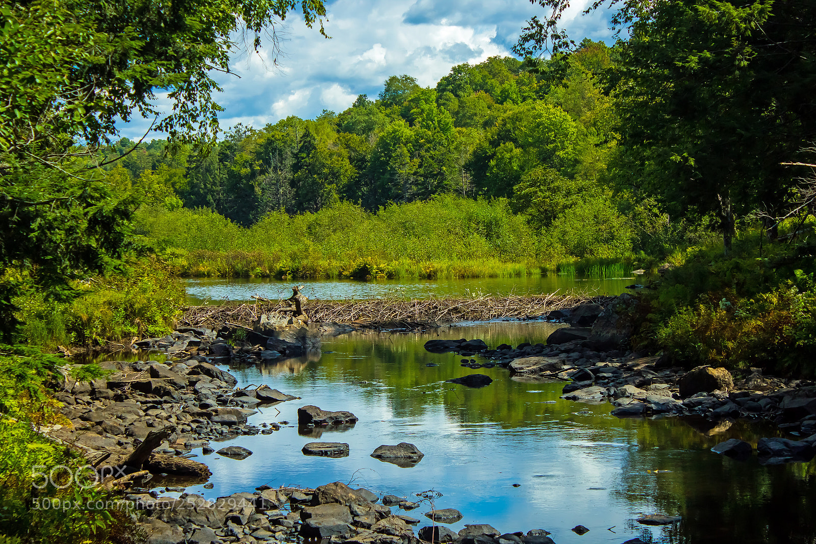 Canon EOS 600D (Rebel EOS T3i / EOS Kiss X5) sample photo. Beaver dam on mountain photography