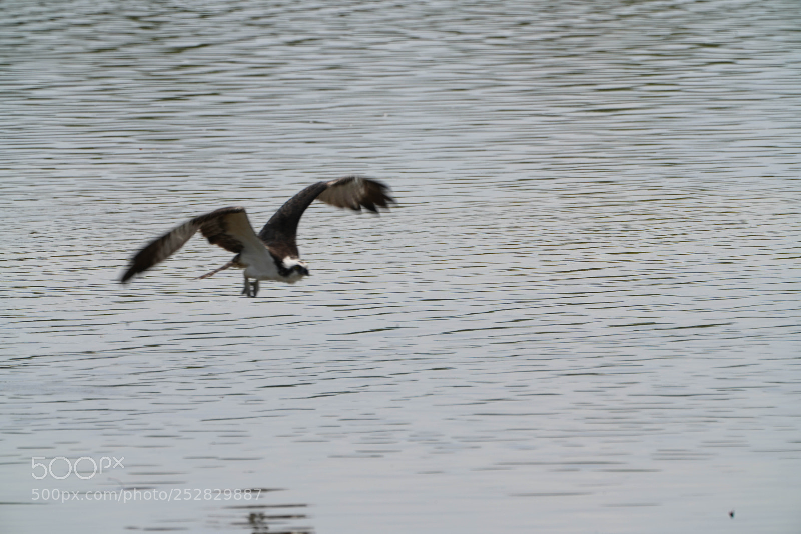 Sony a7R III sample photo. Fishing photography