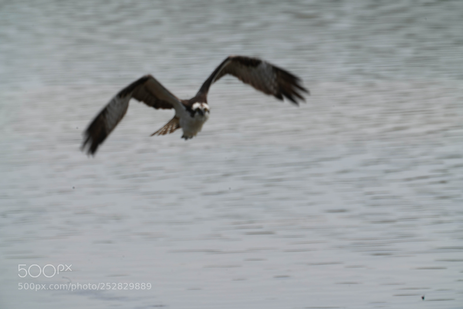 Sony a7R III sample photo. Fishing photography