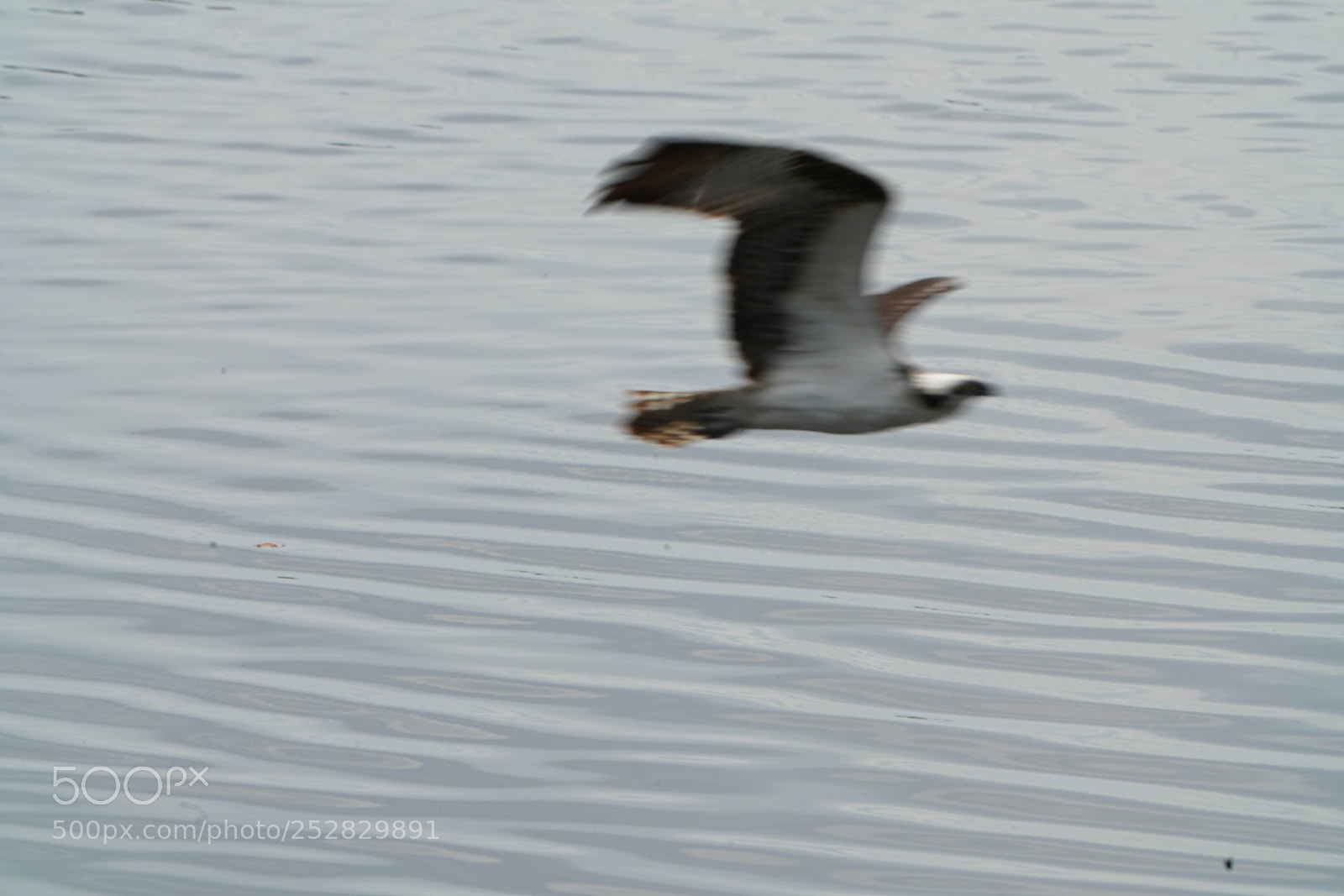 Sony a7R III sample photo. Fishing photography