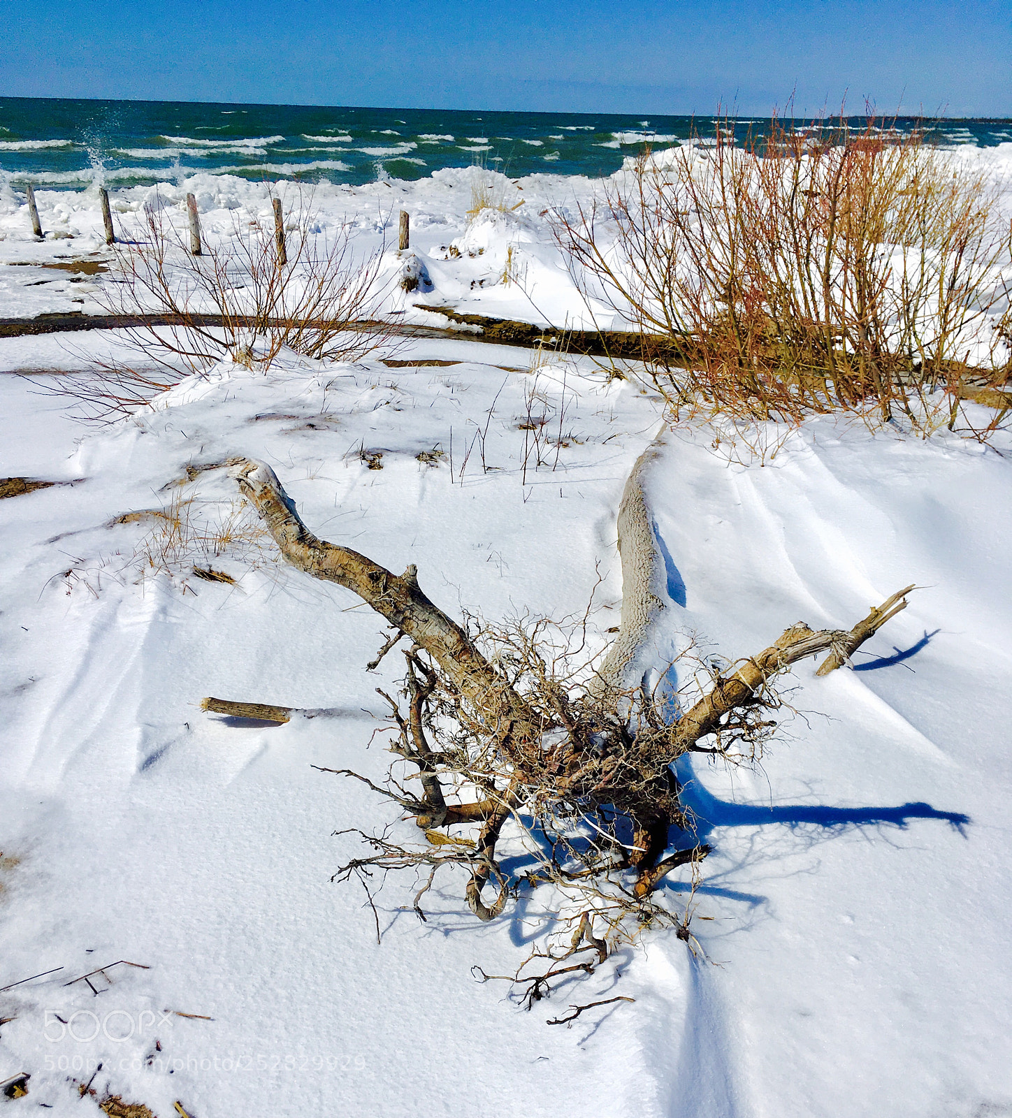 Apple iPhone SE sample photo. Springtime at the beach  photography