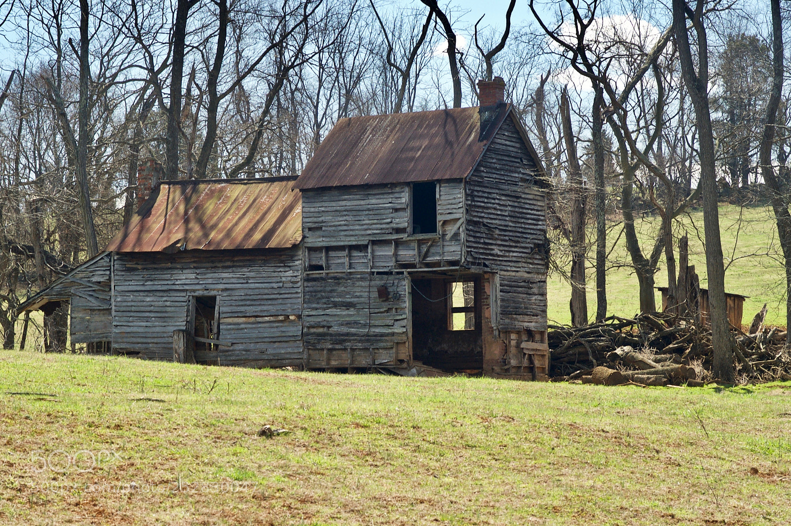 Nikon D700 sample photo. Needs work photography