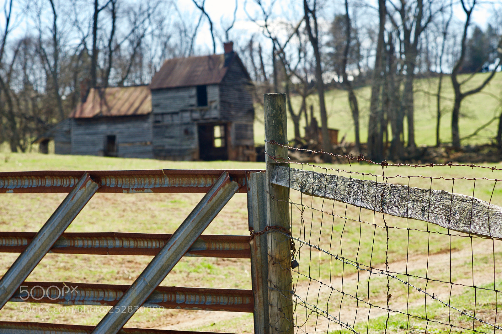 Nikon D700 sample photo. Fixer upper photography
