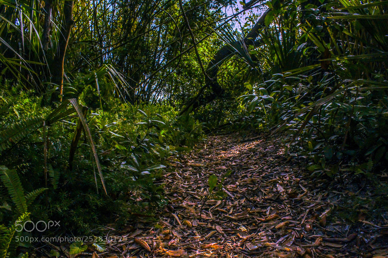Canon EOS 1200D (EOS Rebel T5 / EOS Kiss X70 / EOS Hi) sample photo. Untitled photography