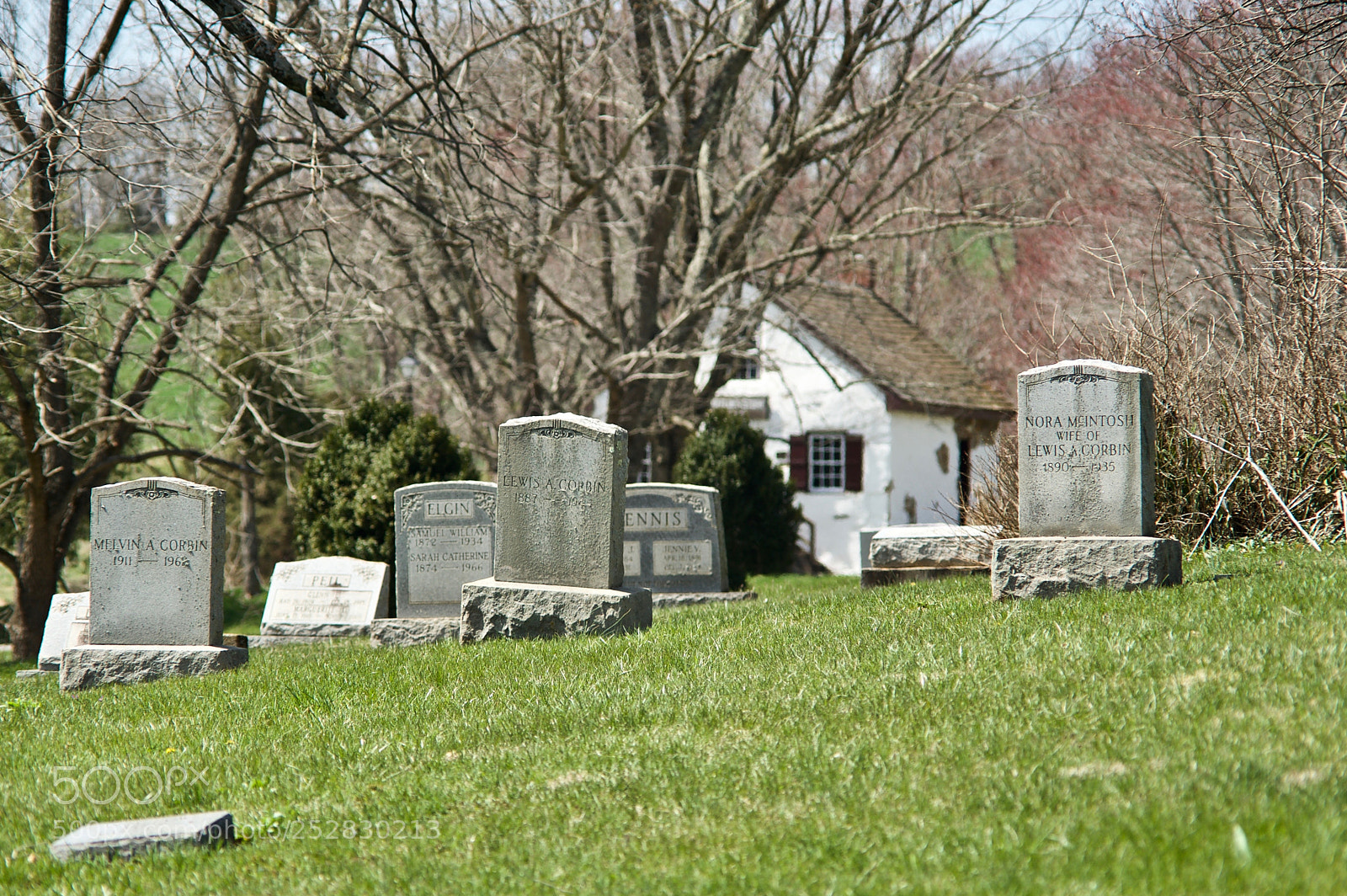 Nikon D700 sample photo. At rest photography