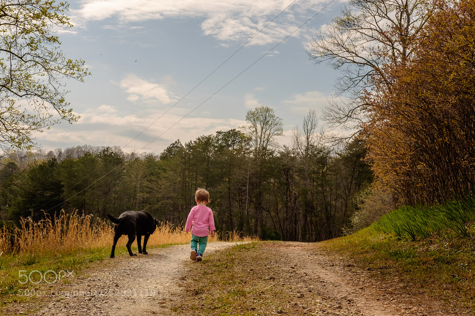 Fujifilm X-E2 sample photo. Best friends photography