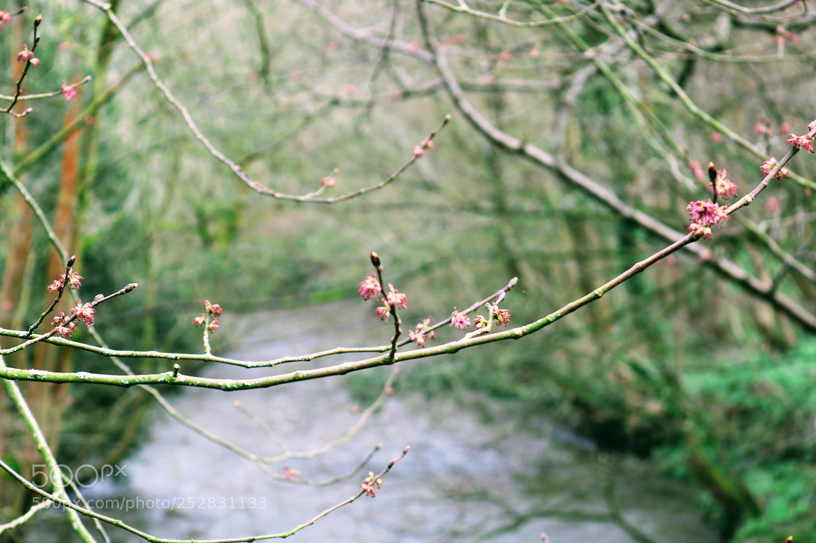 Canon EOS 750D (EOS Rebel T6i / EOS Kiss X8i) sample photo. Attention to small detail photography