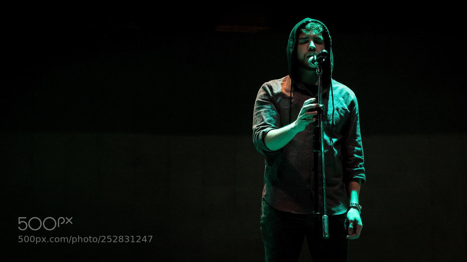 Nikon D5300 sample photo. Singer photography
