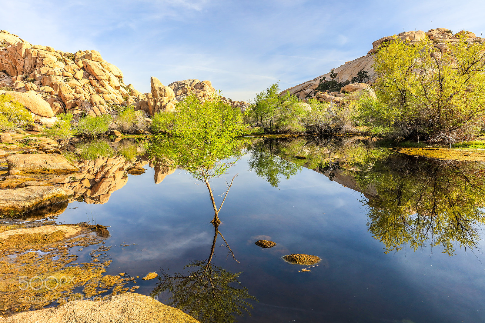 Canon EOS 5DS R sample photo. Barker dam ii photography