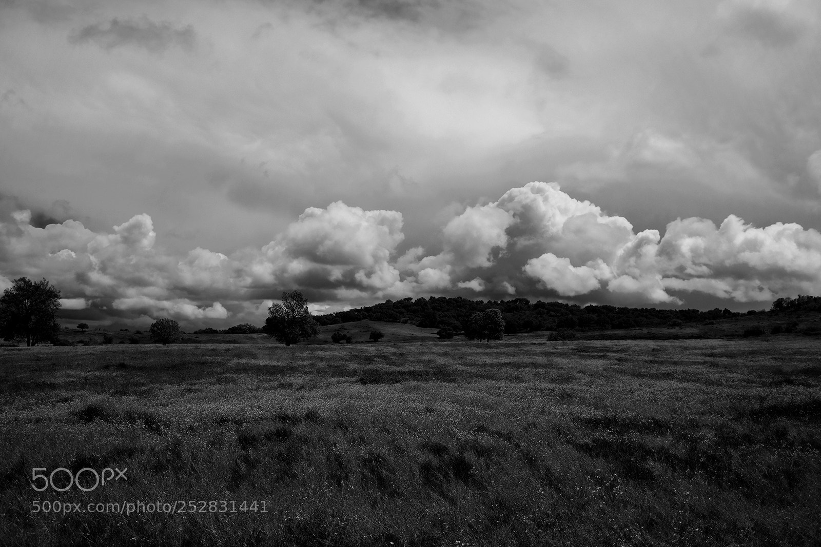 Fujifilm X-T20 sample photo. Arraiolos, portugal photography