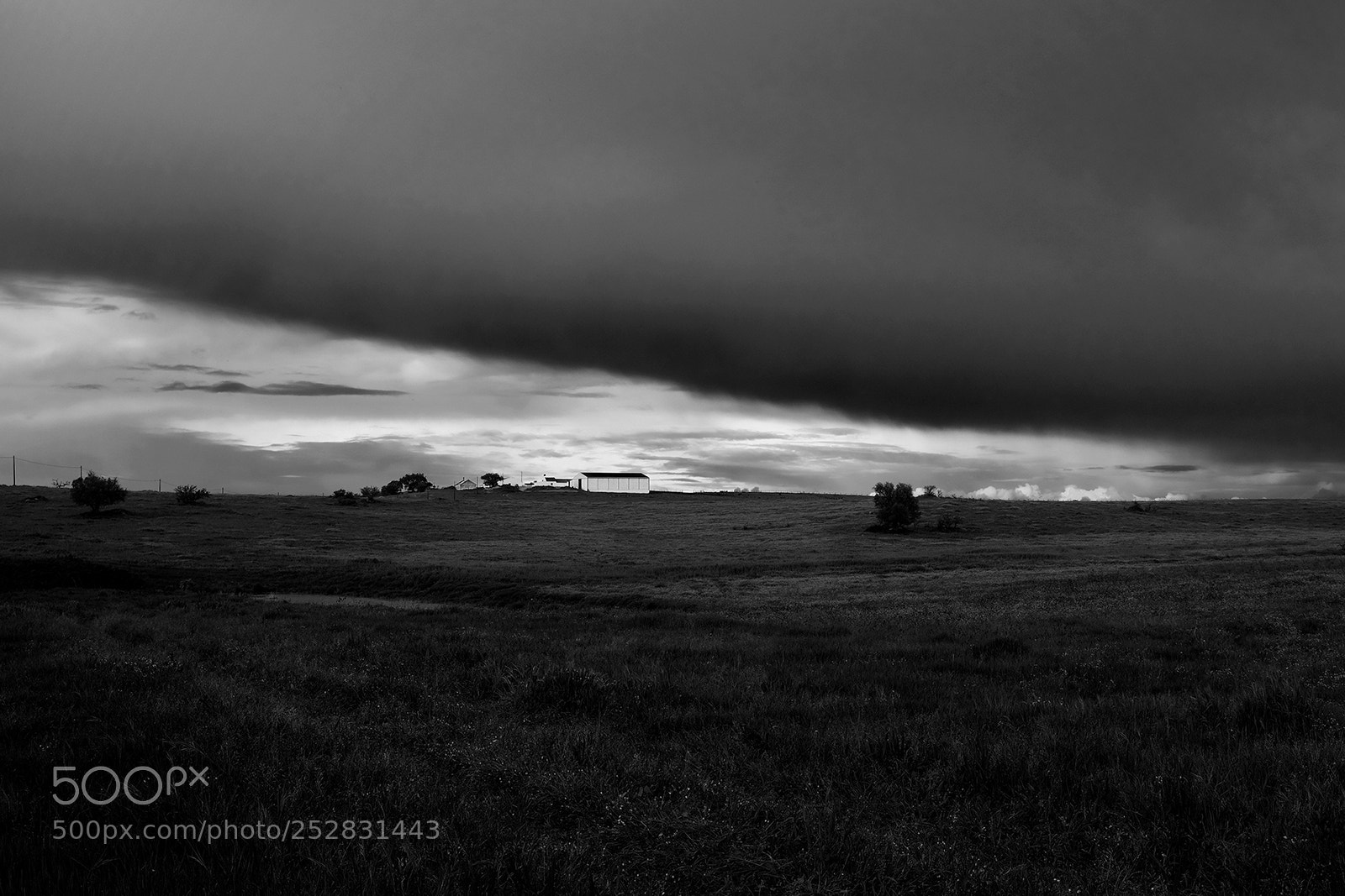 Fujifilm X-T20 sample photo. Arraiolos, portugal photography