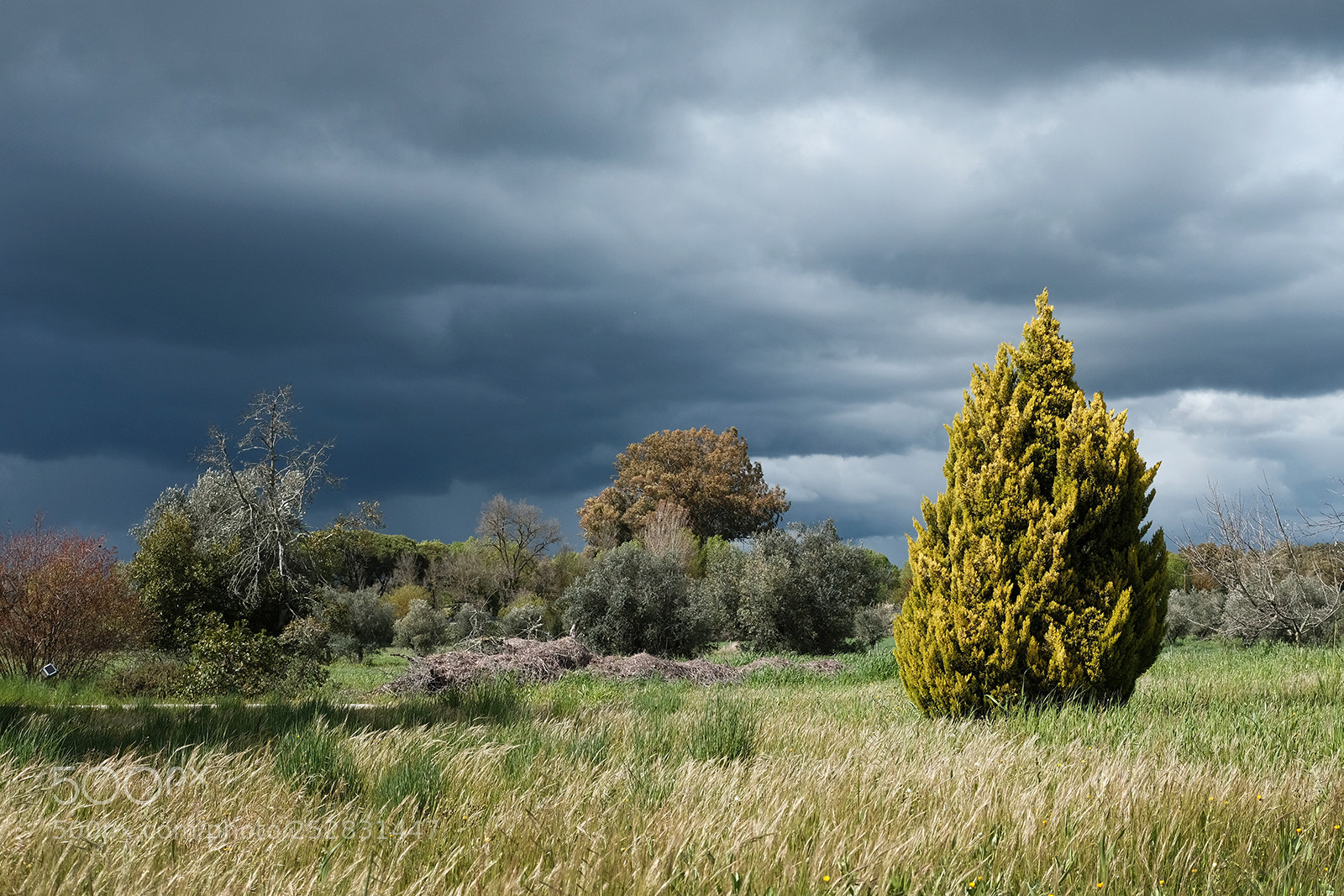 Fujifilm X-T20 sample photo. Arraiolos, portugal photography