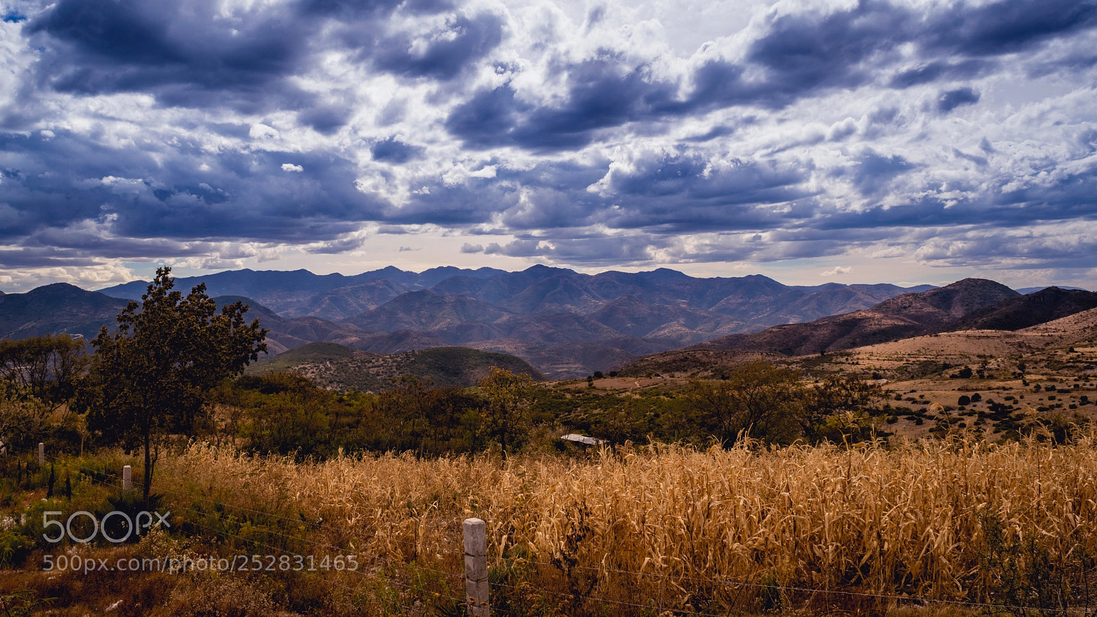 Nikon D5300 sample photo. Siembra y campo photography