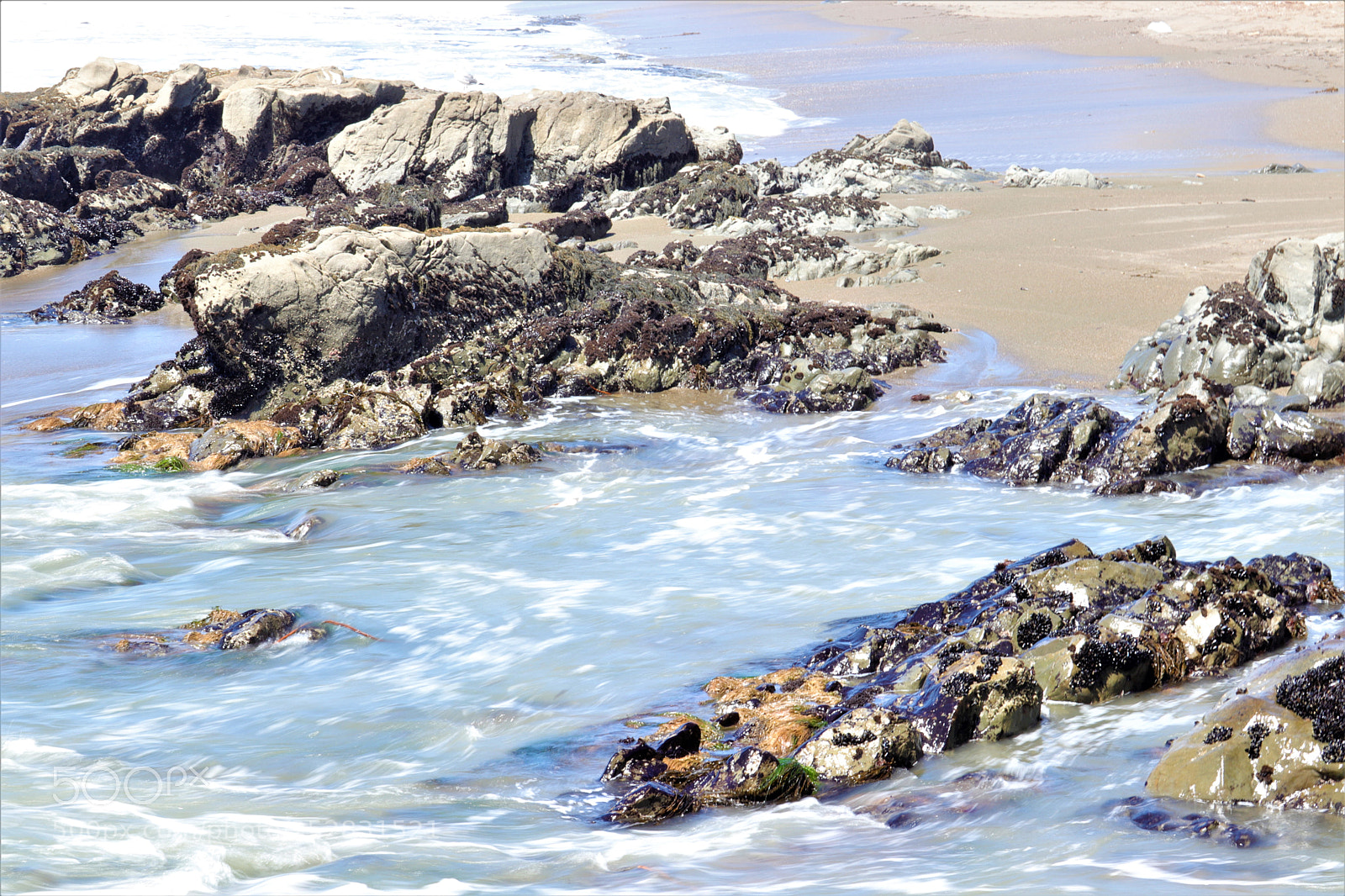 Canon EOS 800D (EOS Rebel T7i / EOS Kiss X9i) sample photo. Moonstone beach, ca photography