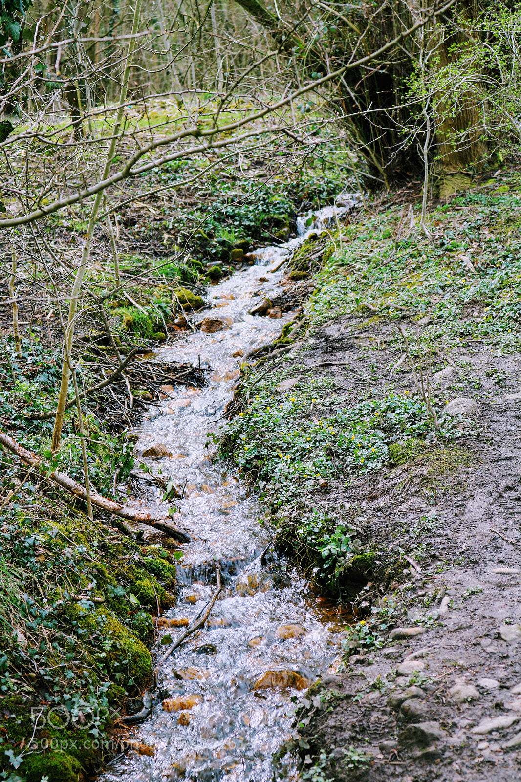Canon EOS 750D (EOS Rebel T6i / EOS Kiss X8i) sample photo. Streams and rivers photography