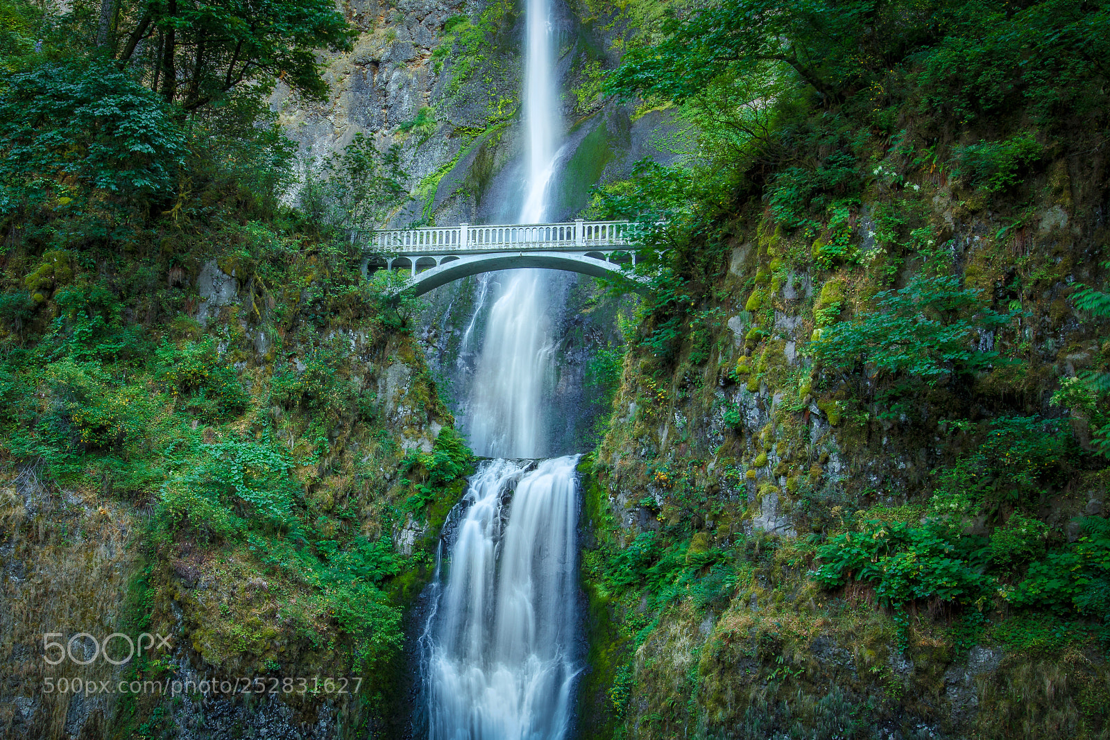 Canon EOS 5DS R sample photo. Benson bridge photography
