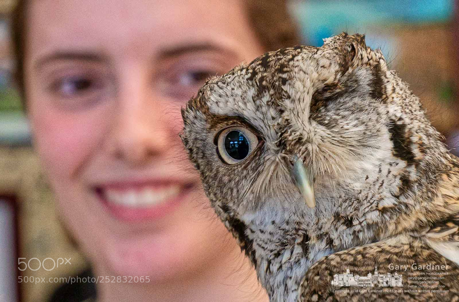 Panasonic Lumix DMC-G85 (Lumix DMC-G80) sample photo. One-eyed owl wows students photography