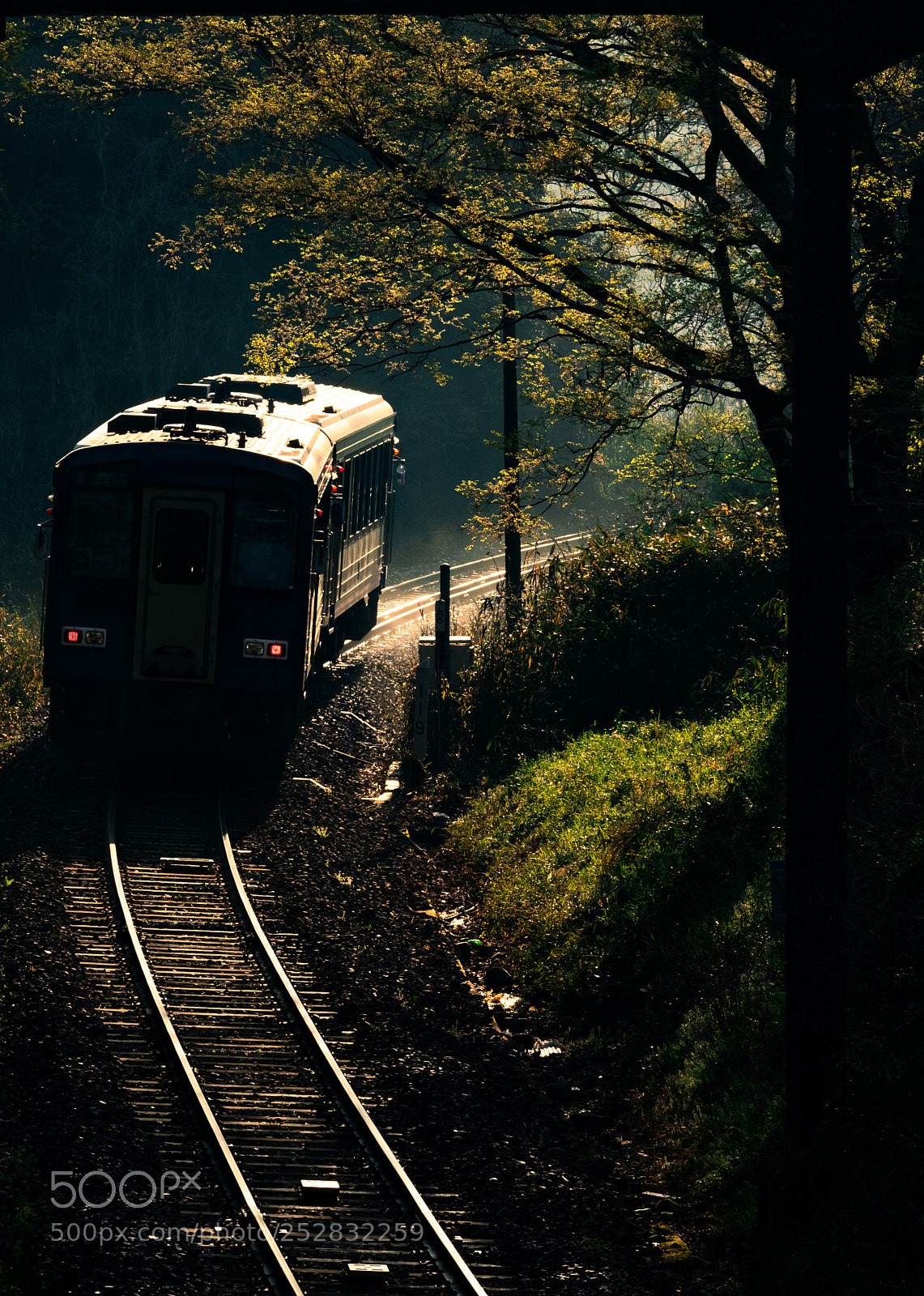 Fujifilm X-T2 sample photo. Untitled photography