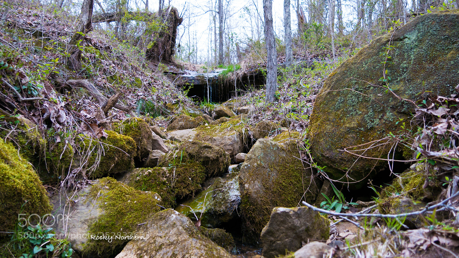 Panasonic Lumix DMC-G7 sample photo. Hell neck kentucky photography