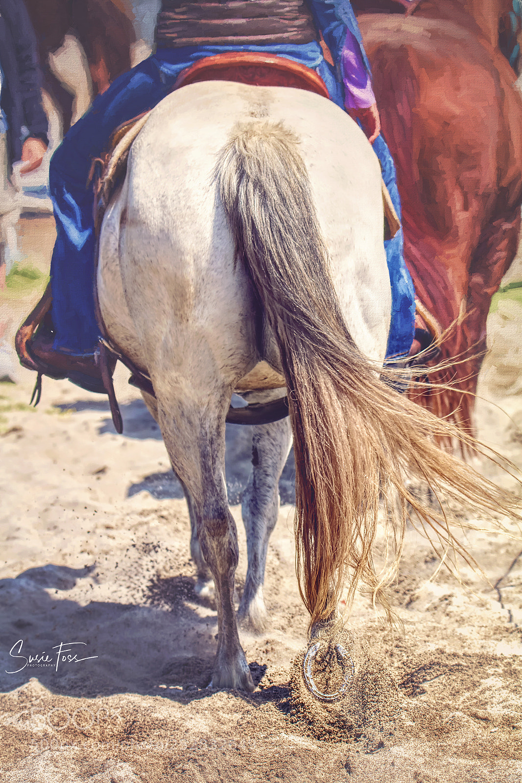 Canon EOS 70D sample photo. Giddy up photography