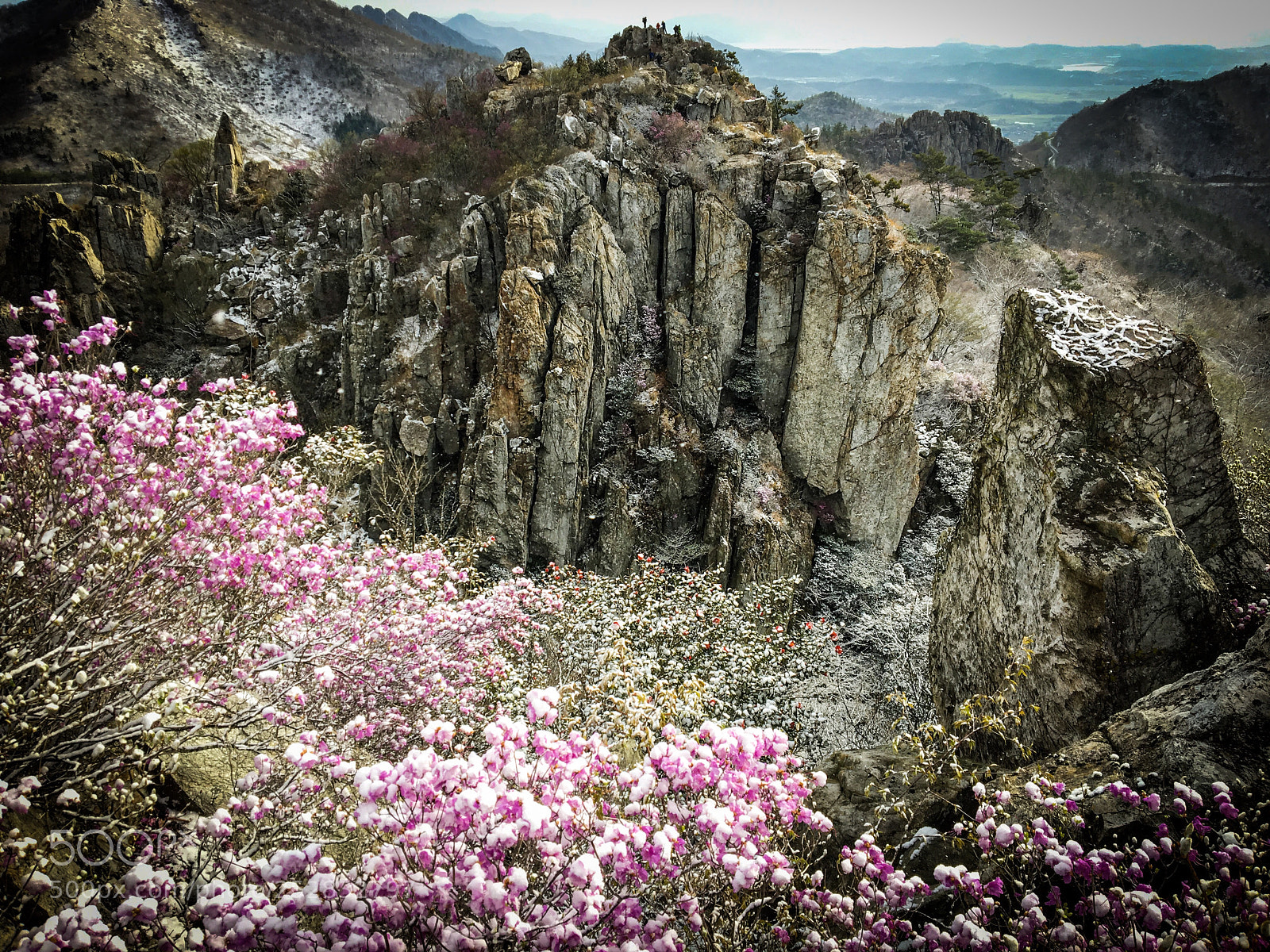 Apple iPhone 6s sample photo. 주작의 봄 photography