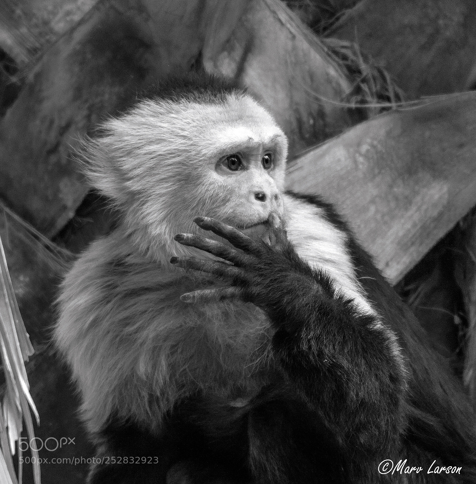 Canon EOS 7D Mark II sample photo. Untitled photography