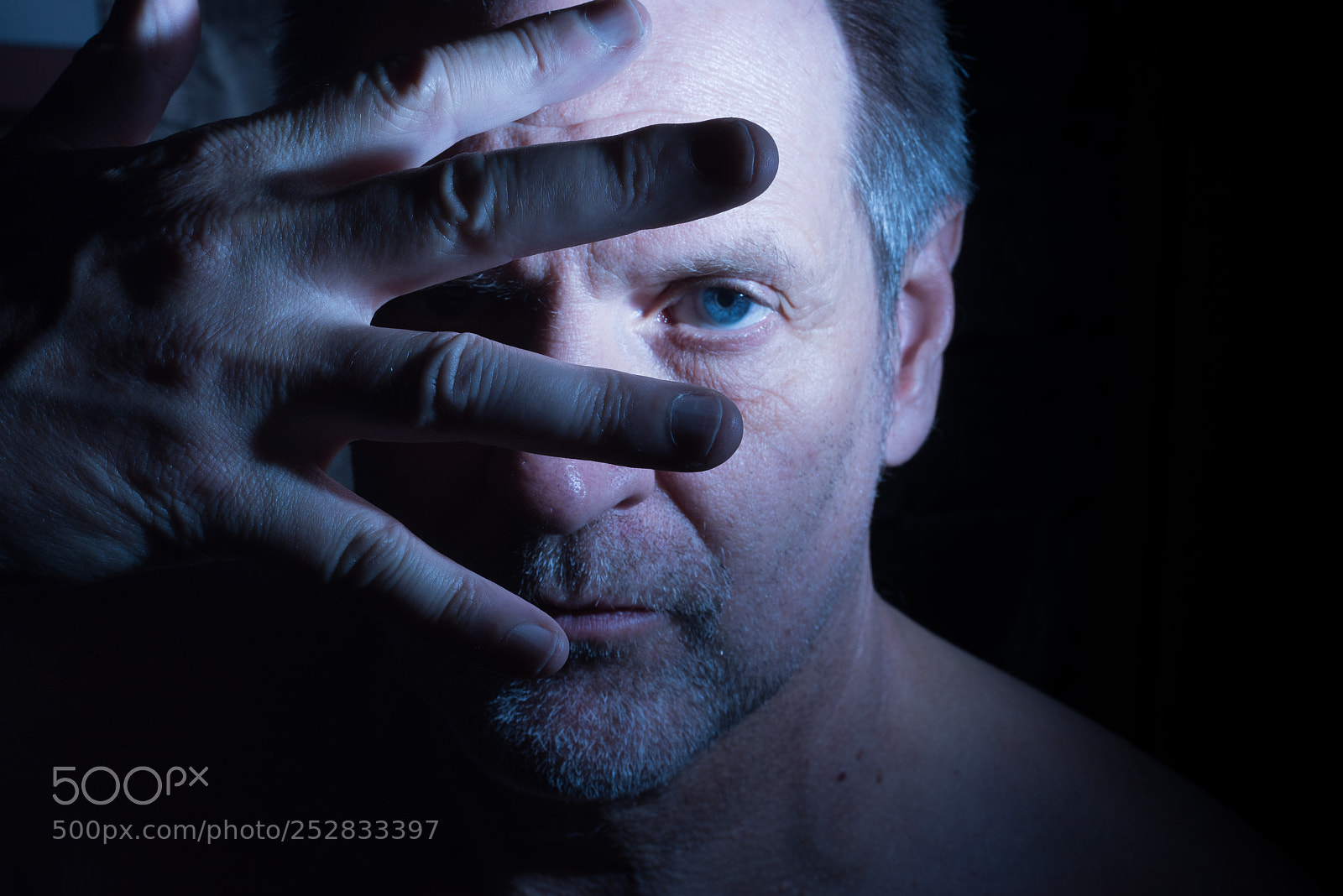 Nikon D810 sample photo. The stare photography