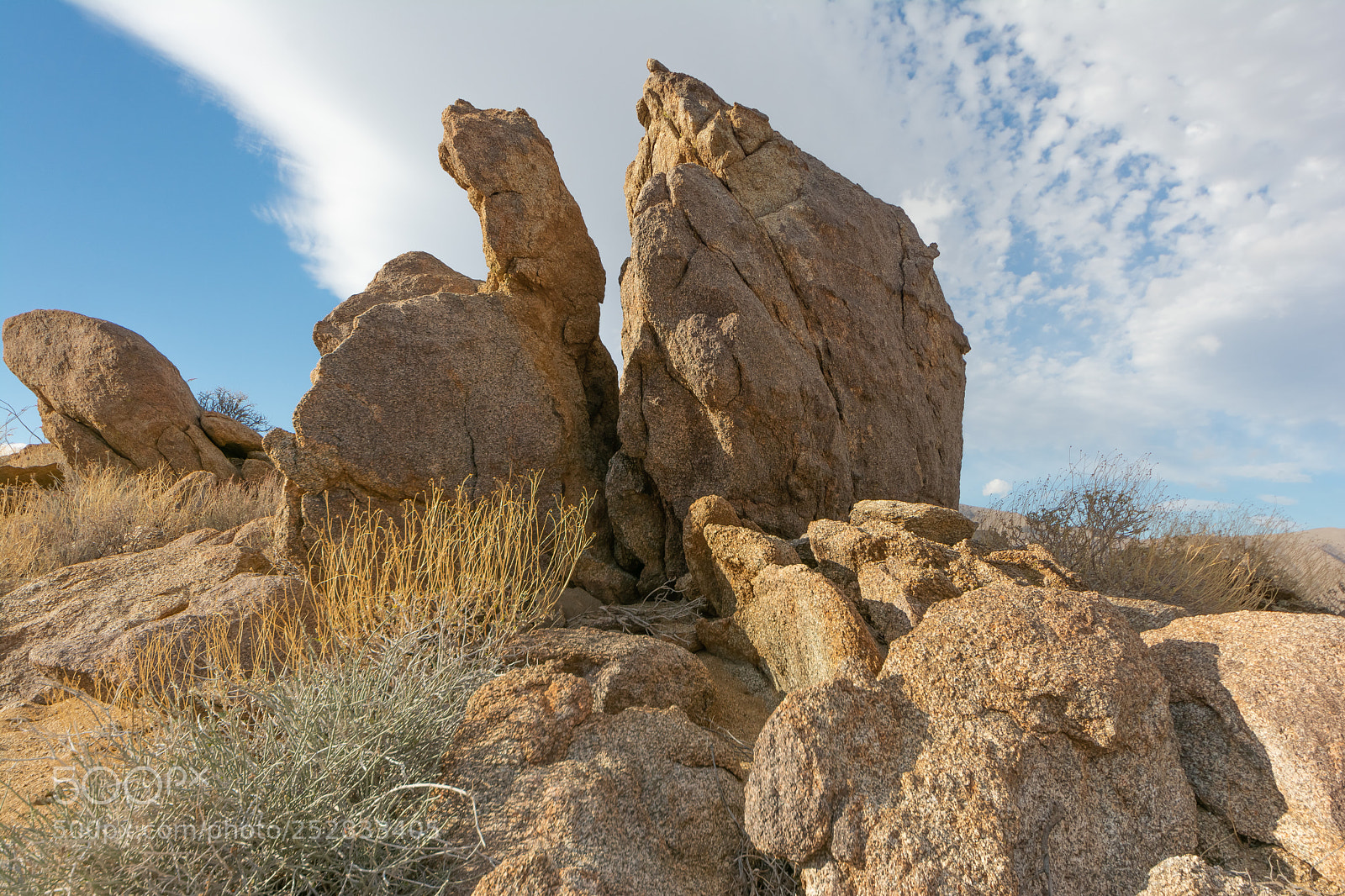 Nikon D7100 sample photo. Anzaborrego(01) photography