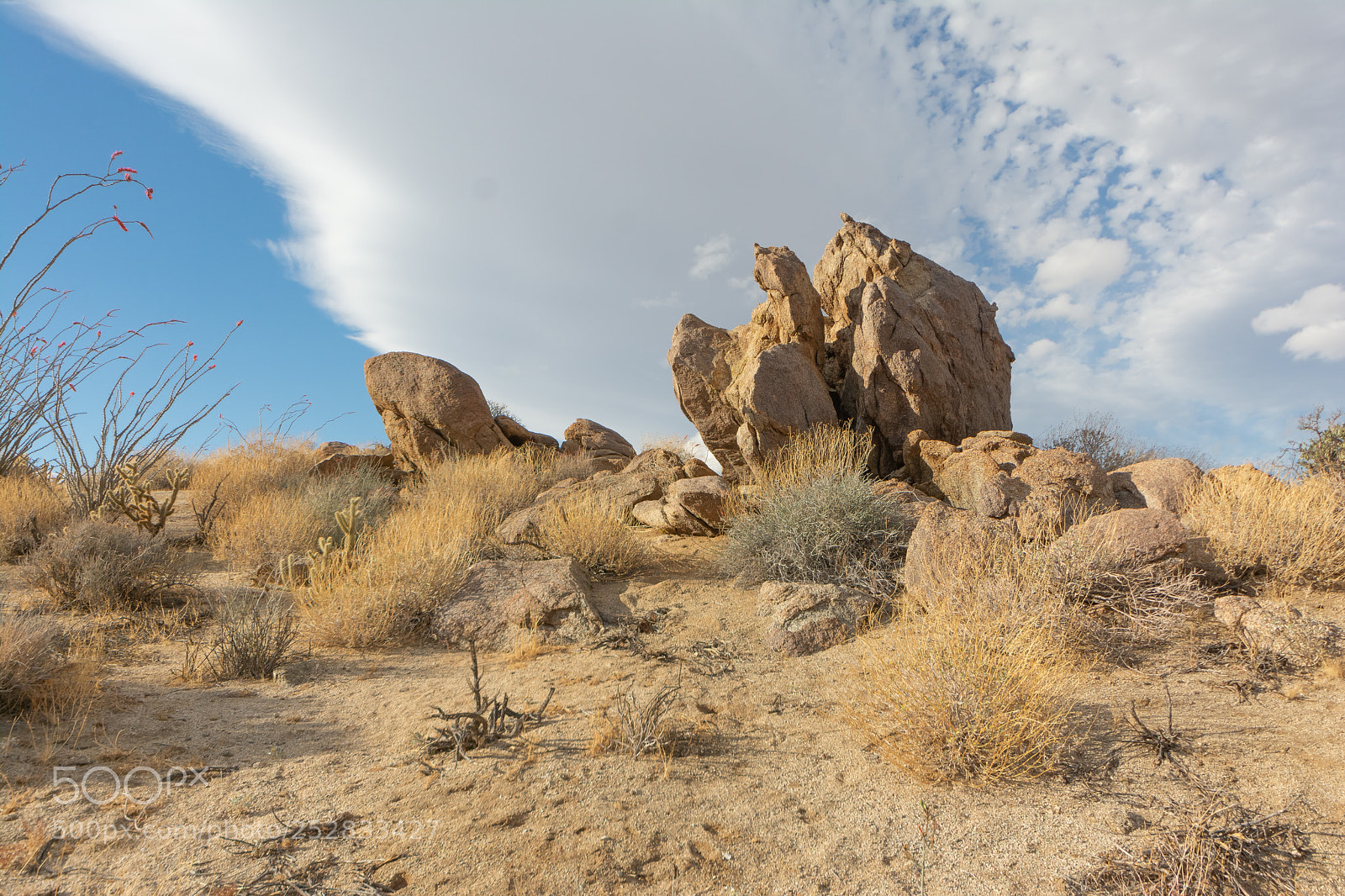 Nikon D7100 sample photo. Anzaborrego(02) photography