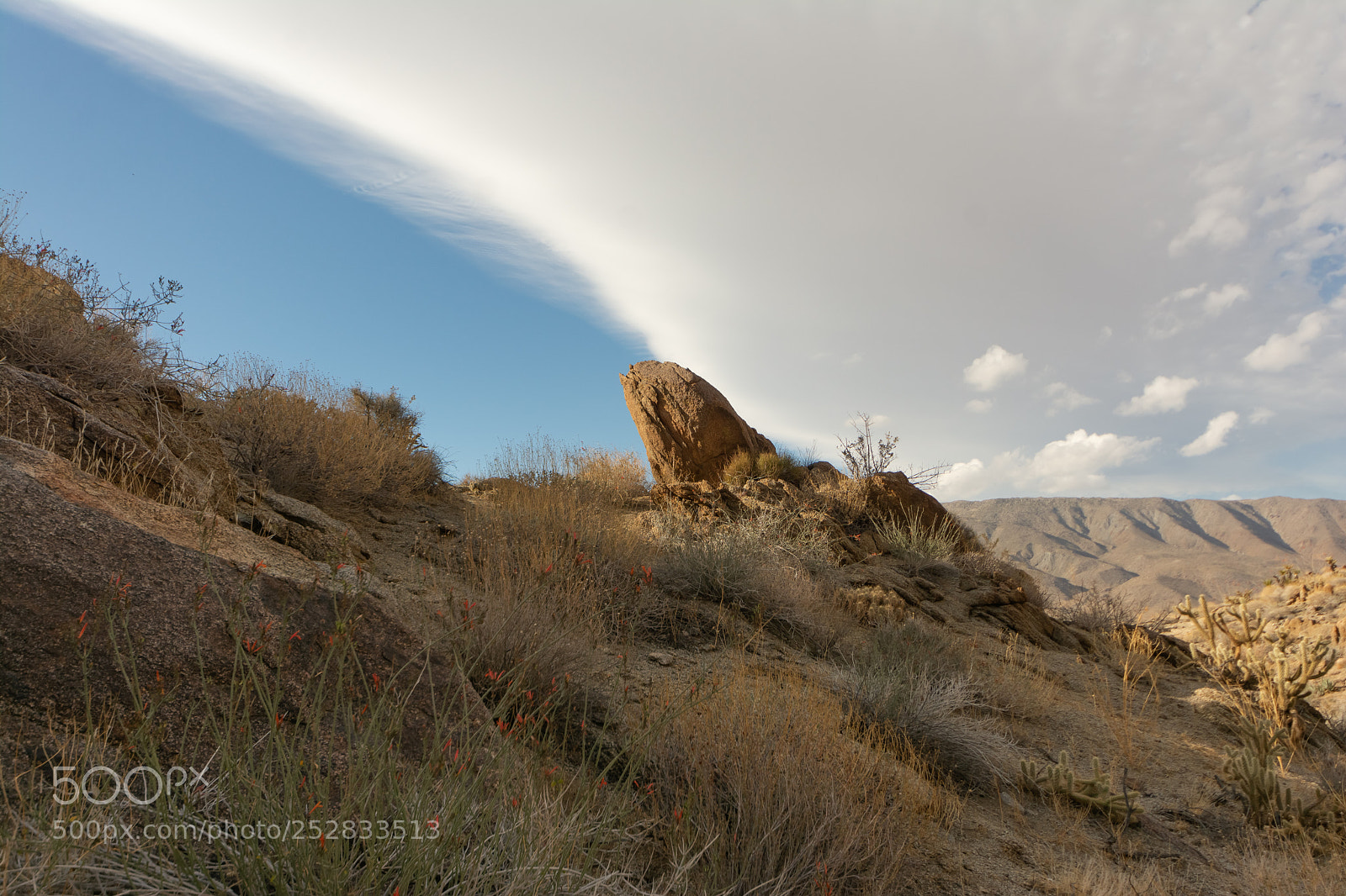 Nikon D7100 sample photo. Anza-borrego photography