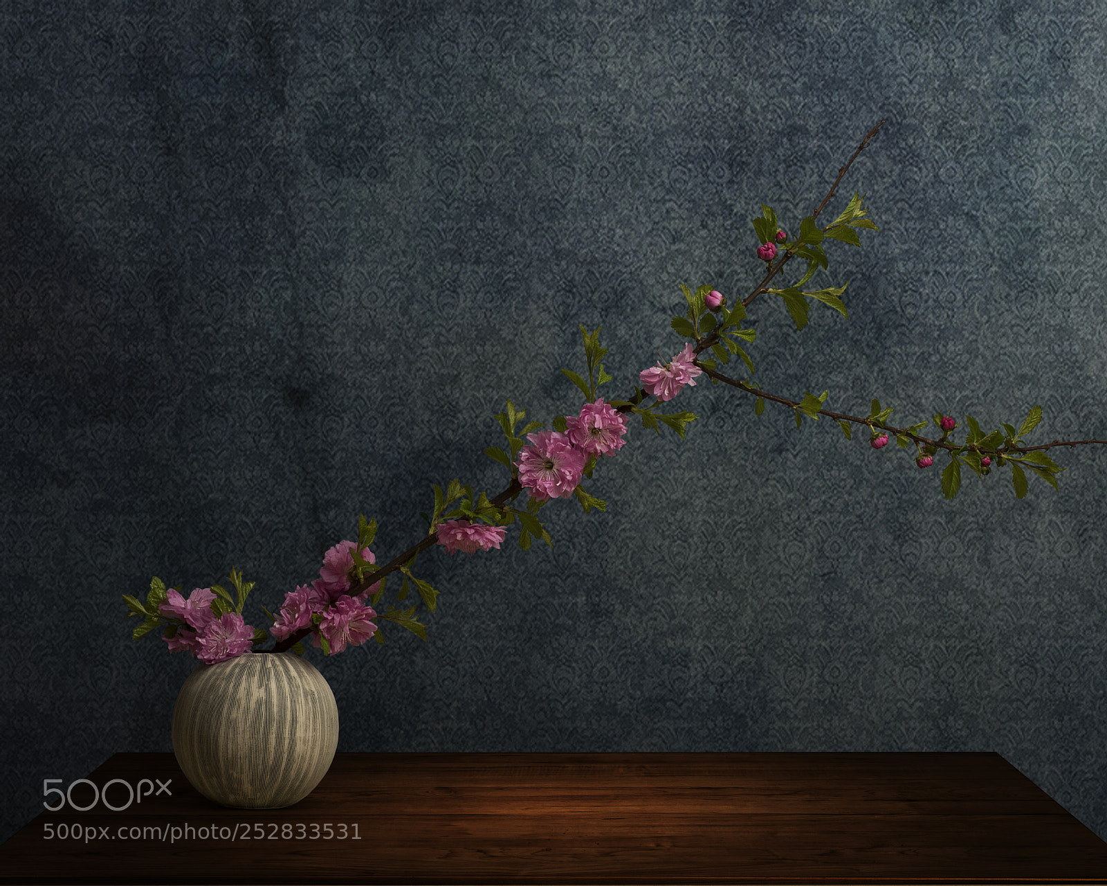 Nikon D810 sample photo. Spring photography