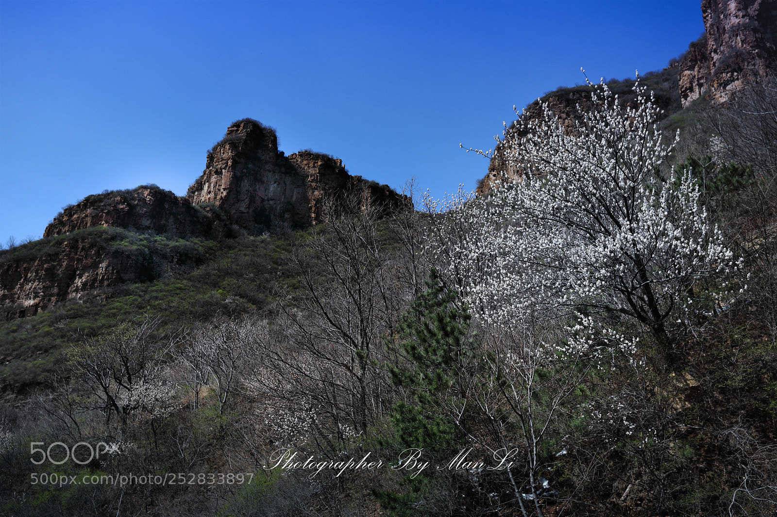 Canon EOS 5D Mark IV sample photo. 平谷（pinggu) photography