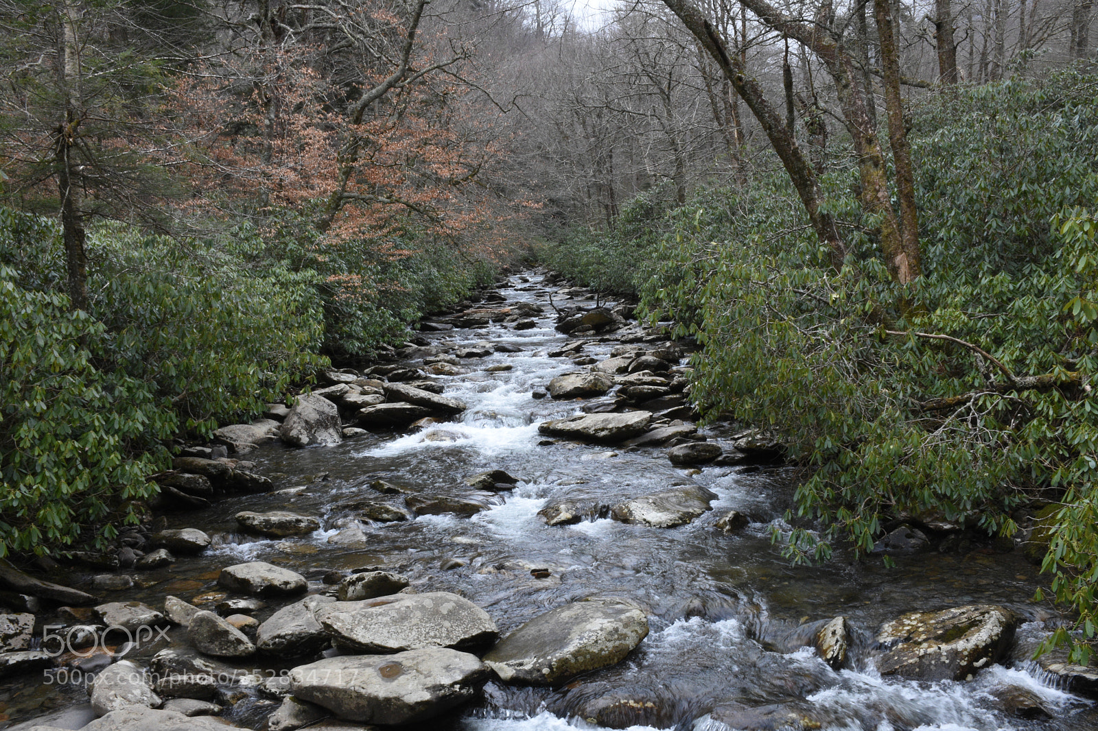 Nikon D7200 sample photo. River photography