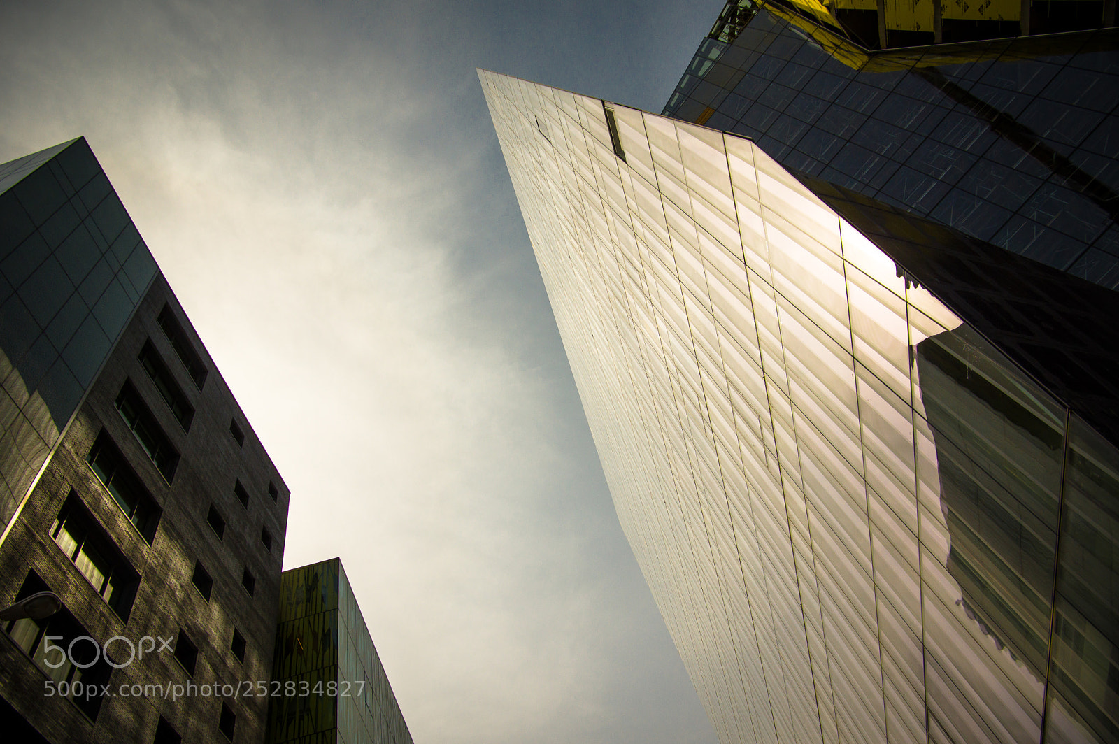 Pentax K-3 II sample photo. Up! photography