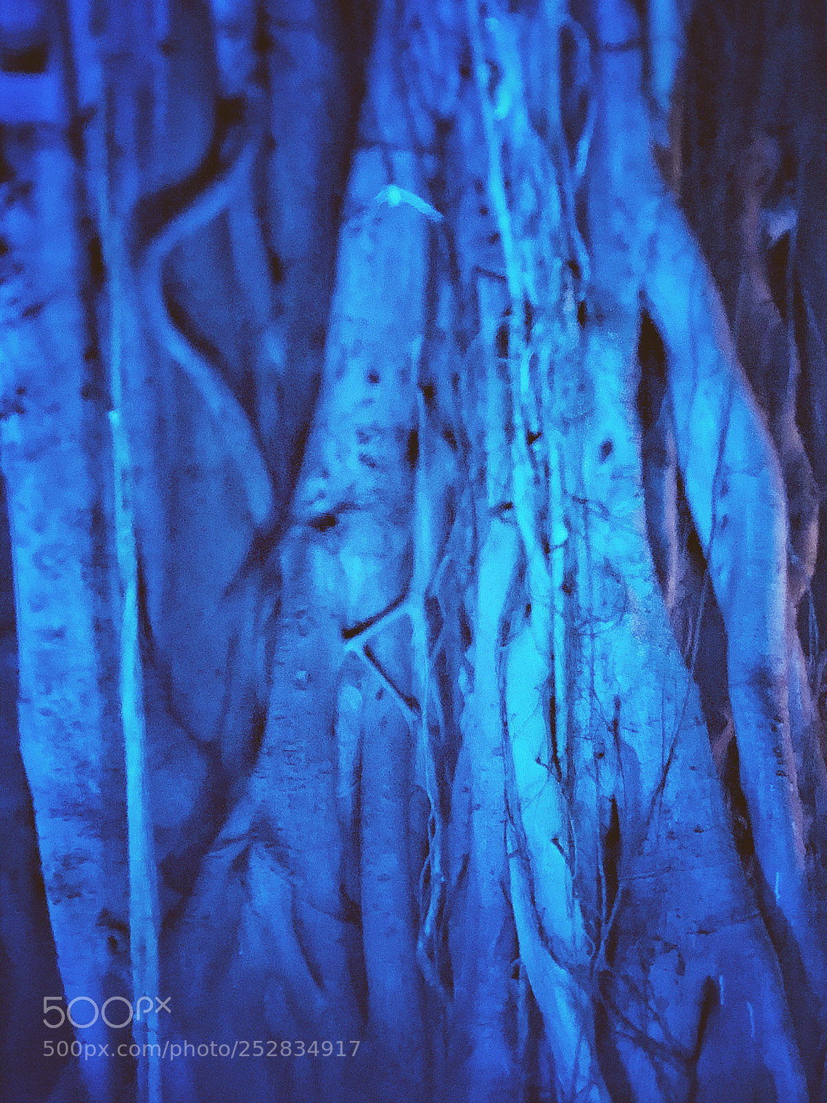 Apple iPhone X sample photo. Bluemania  photography