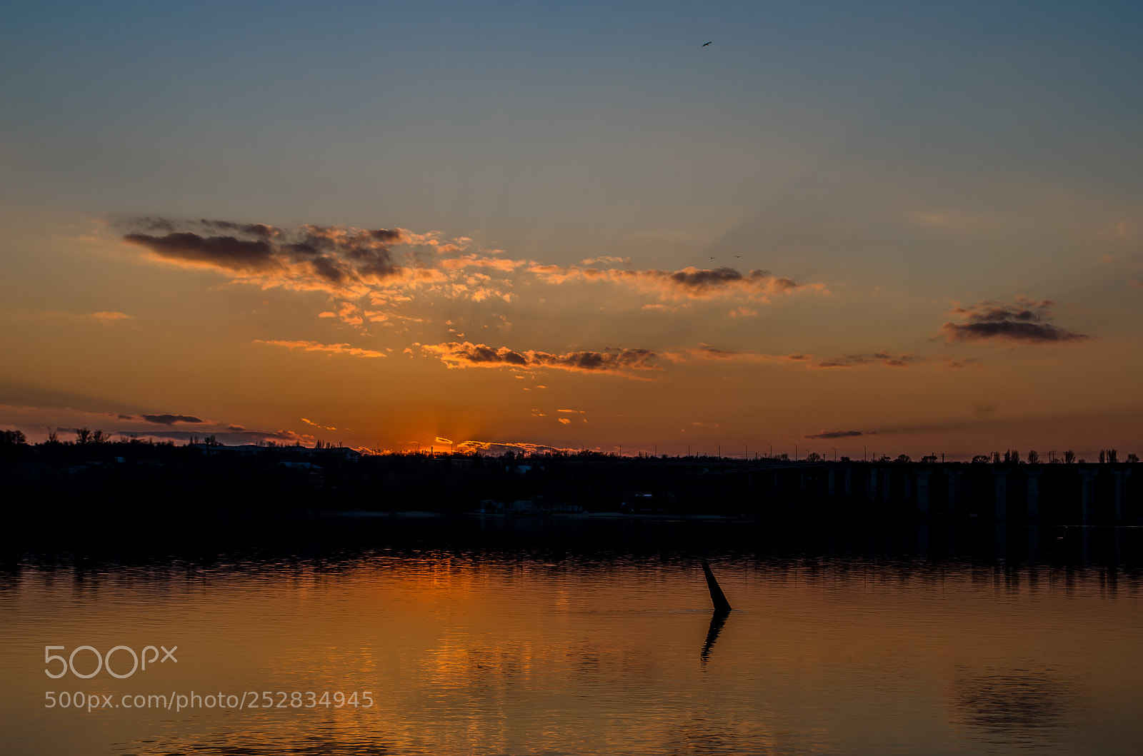 Nikon D5100 sample photo. Sun2 photography