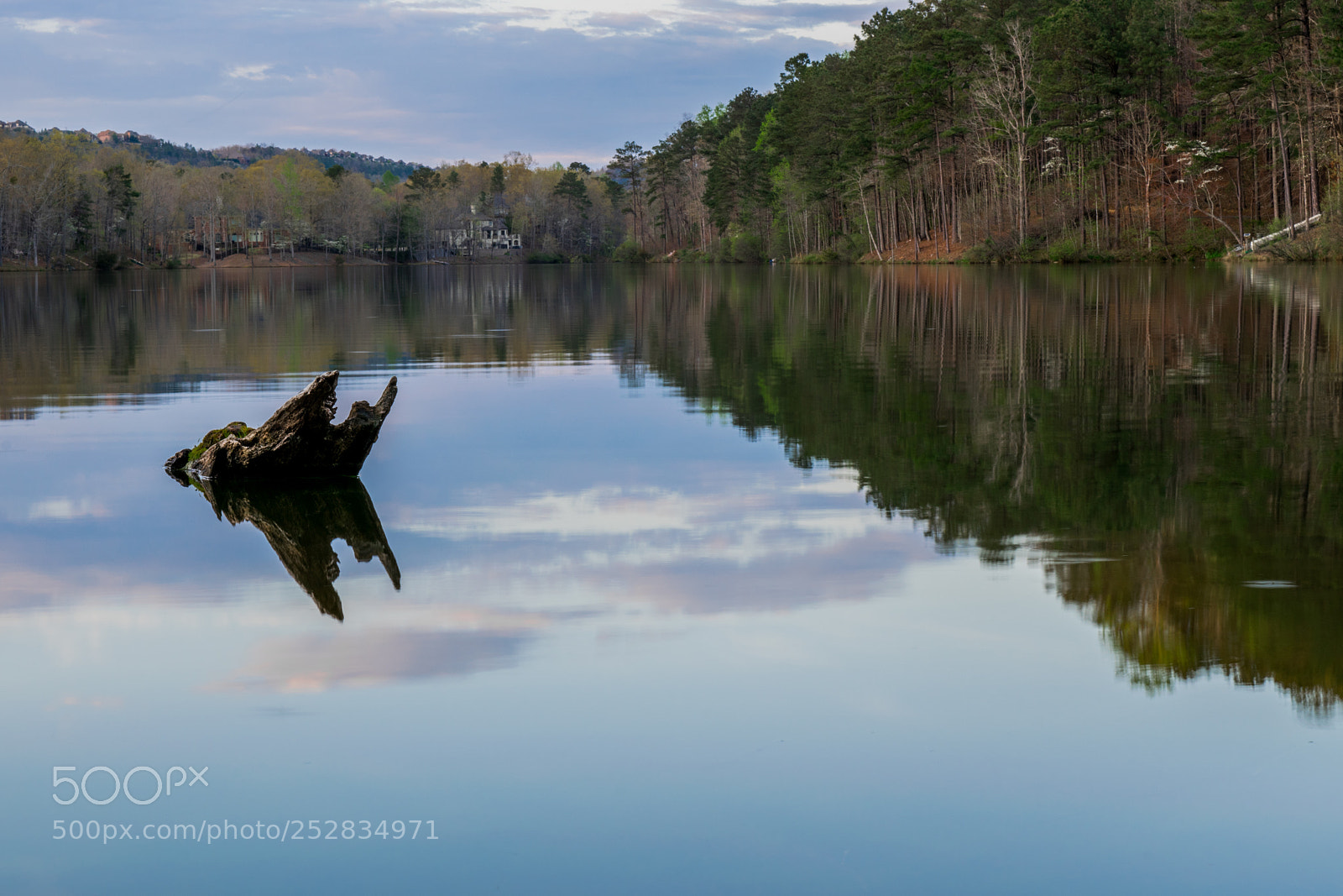 Nikon D3300 sample photo. Driftwood in a lake photography