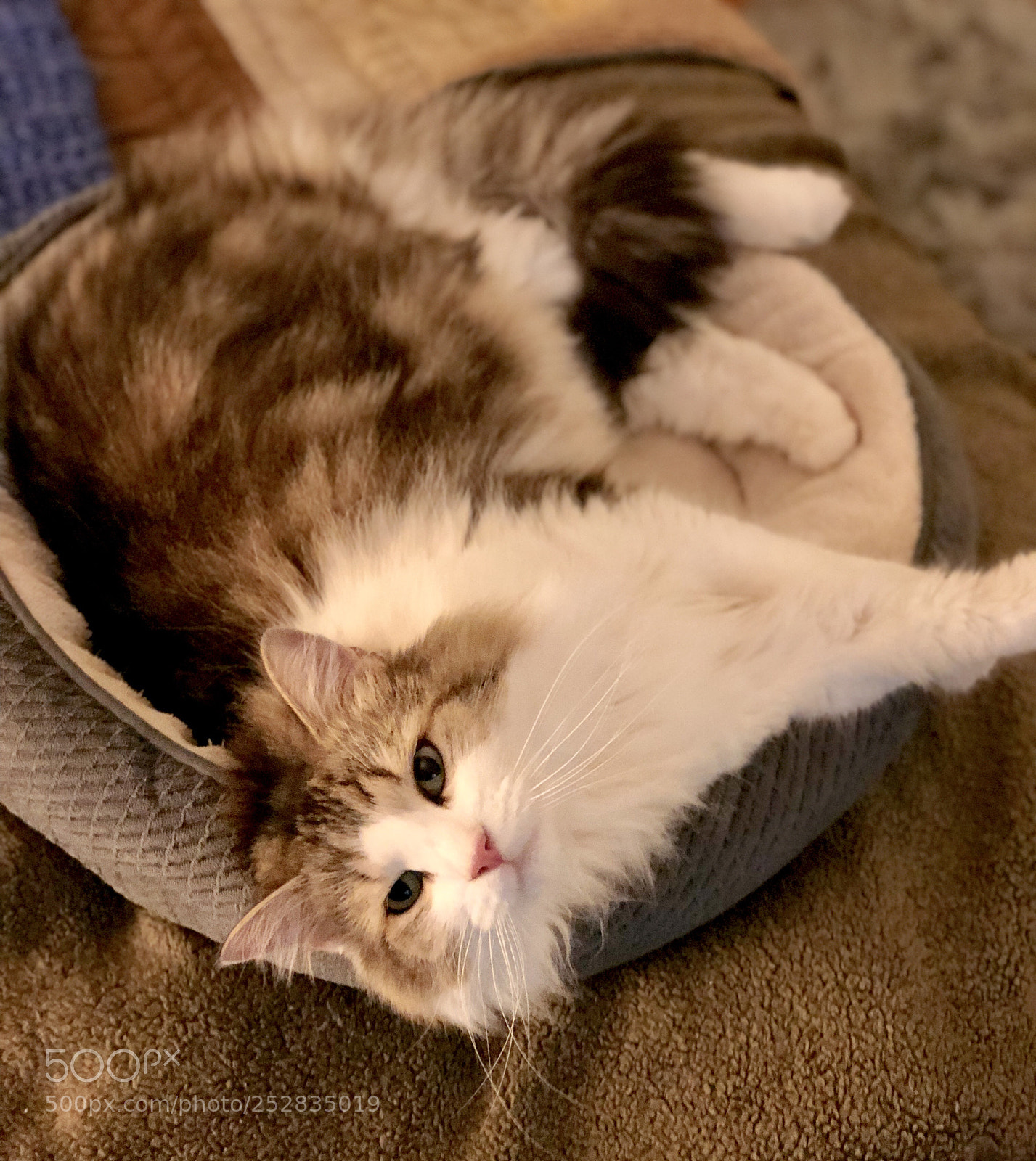 Apple iPhone X sample photo. My name is remy photography