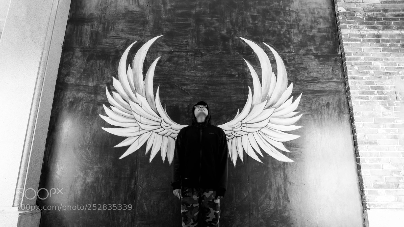 Sony a6300 sample photo. Angel wing photography