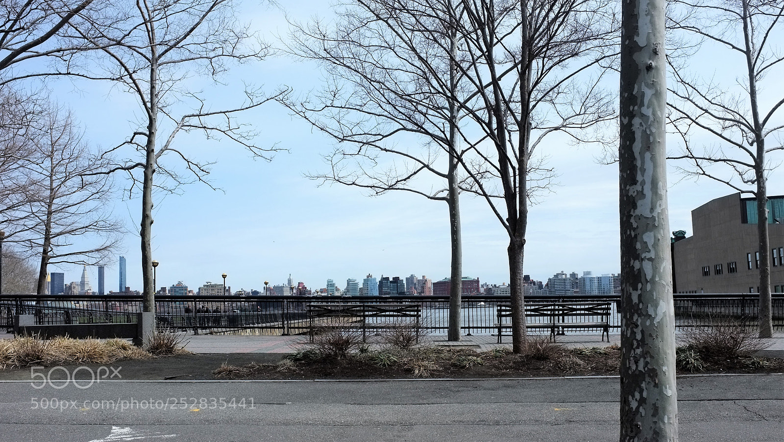 Fujifilm FinePix X100 sample photo. Untitled photography