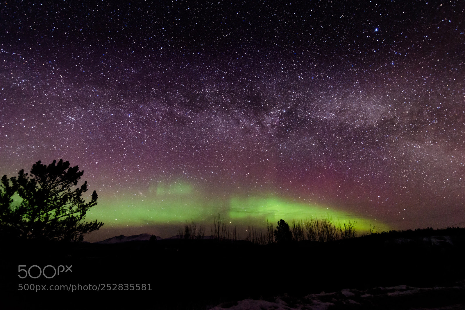 Nikon D600 sample photo. Northern lights and the photography