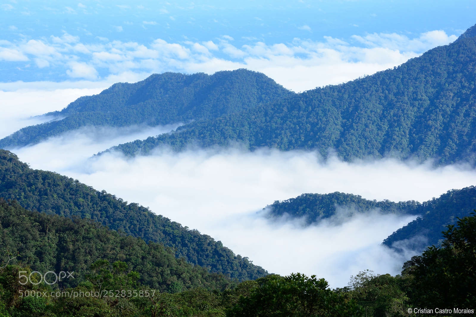 Nikon D7100 sample photo. Amazonian piedmont photography