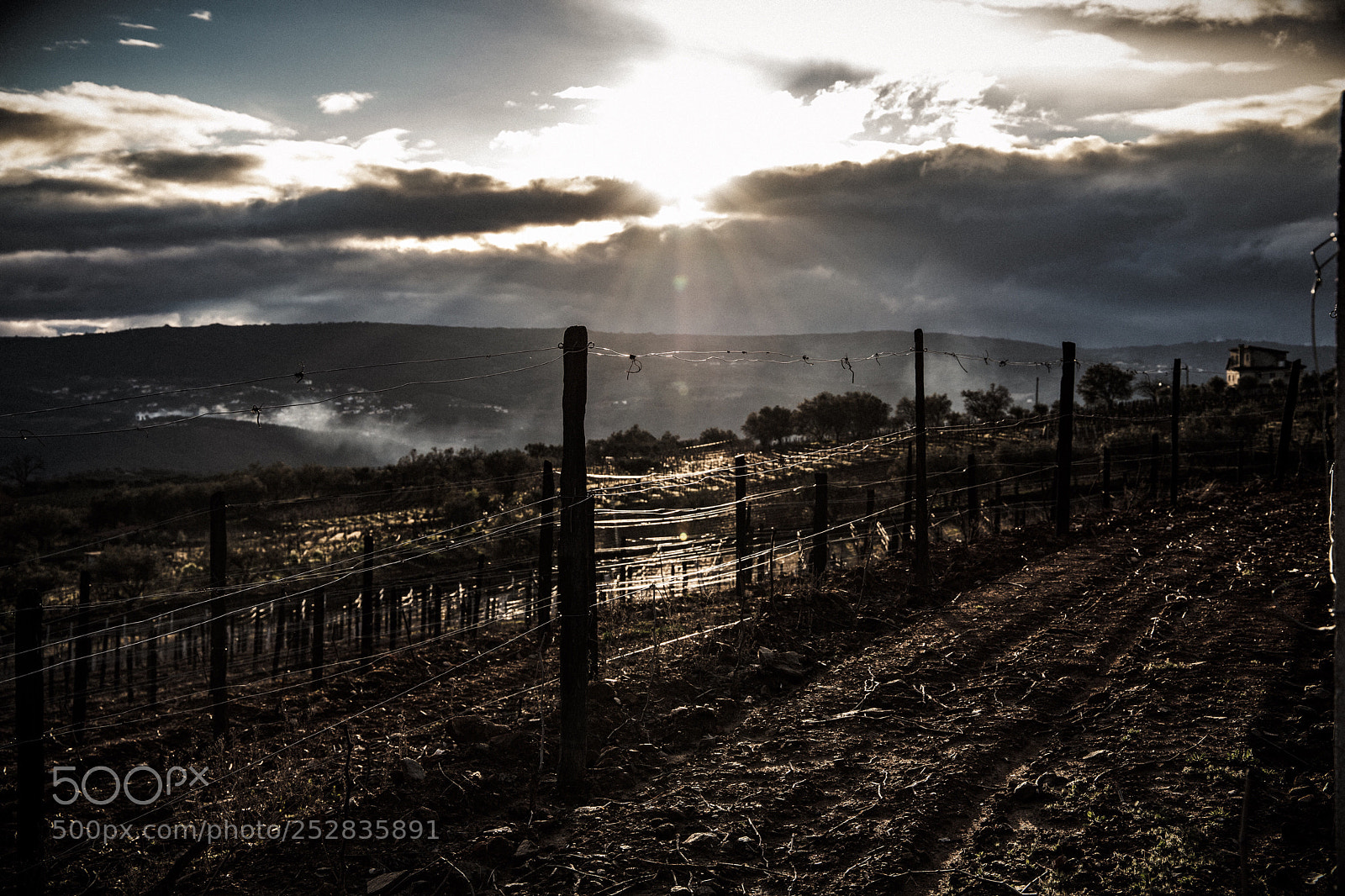 Canon EOS 6D Mark II sample photo. Sunset at douro, portugal photography