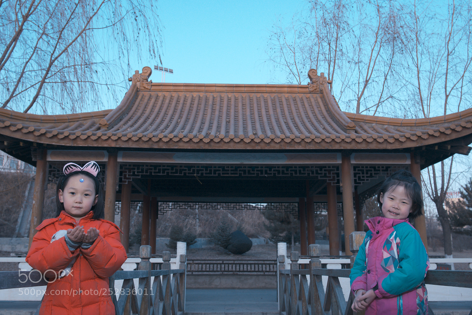 Nikon D800 sample photo. Untitled photography