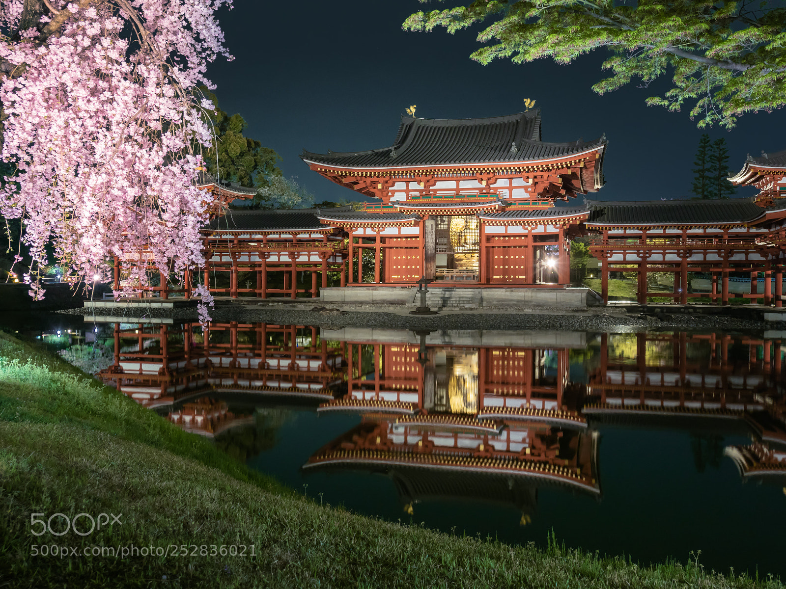Olympus OM-D E-M1 Mark II sample photo. Byodoin temple in the photography