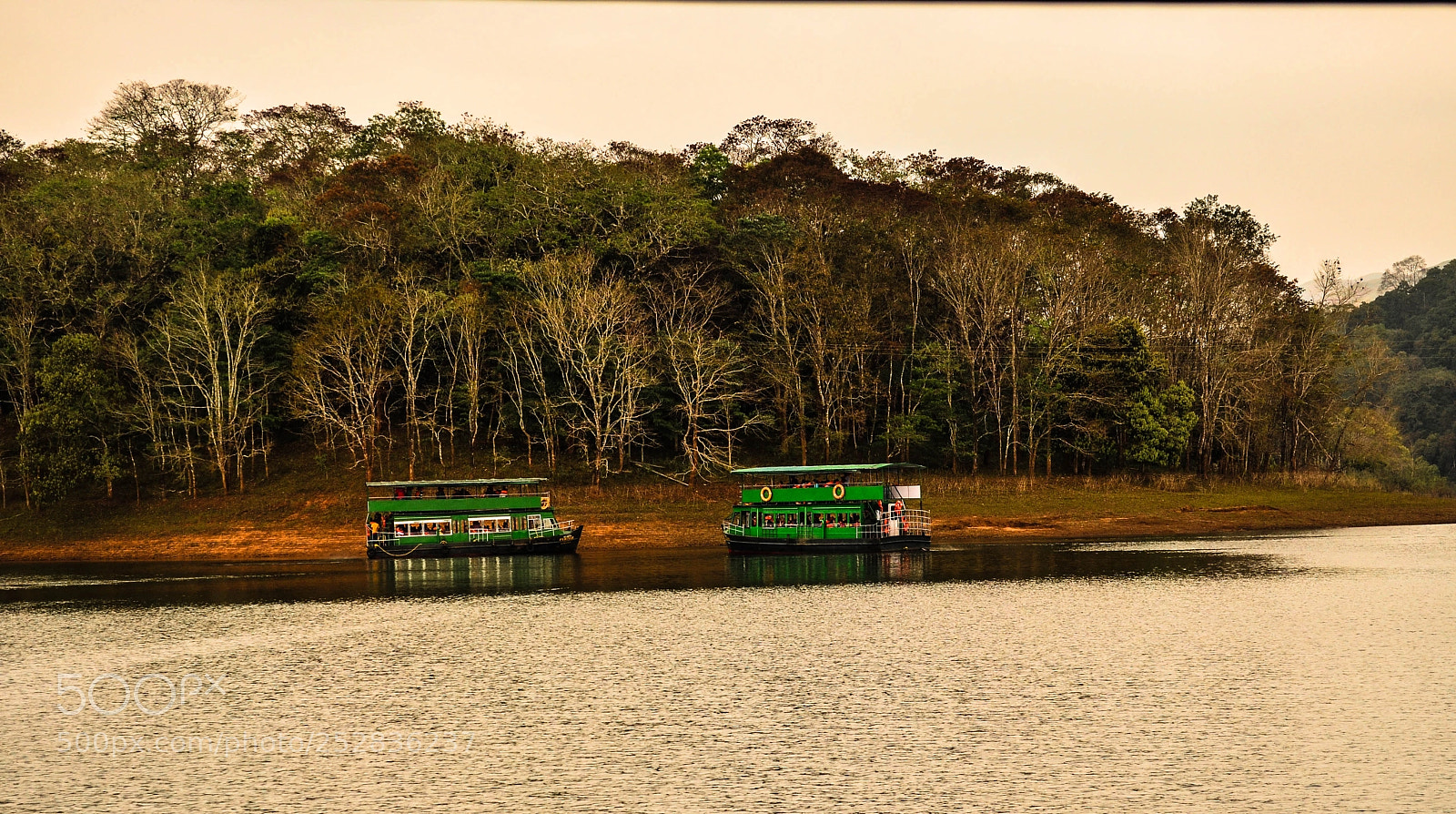 Nikon D5100 sample photo. Periyar national park photography