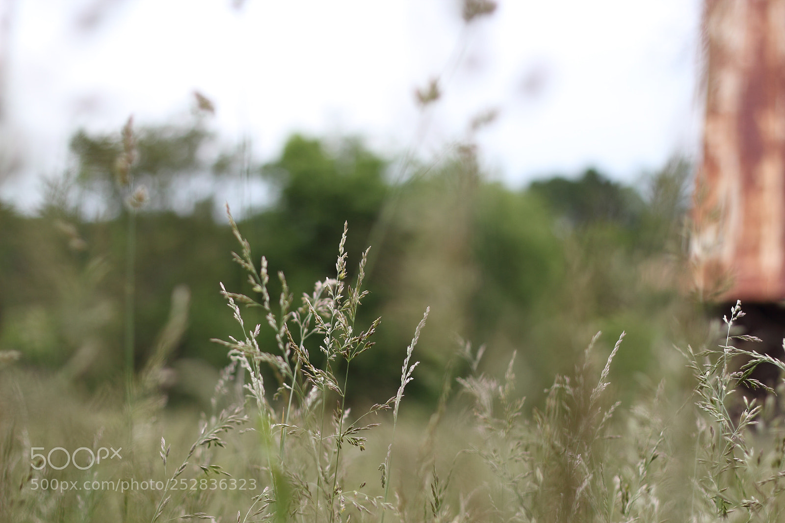 Canon EOS 600D (Rebel EOS T3i / EOS Kiss X5) sample photo. Untitled photography