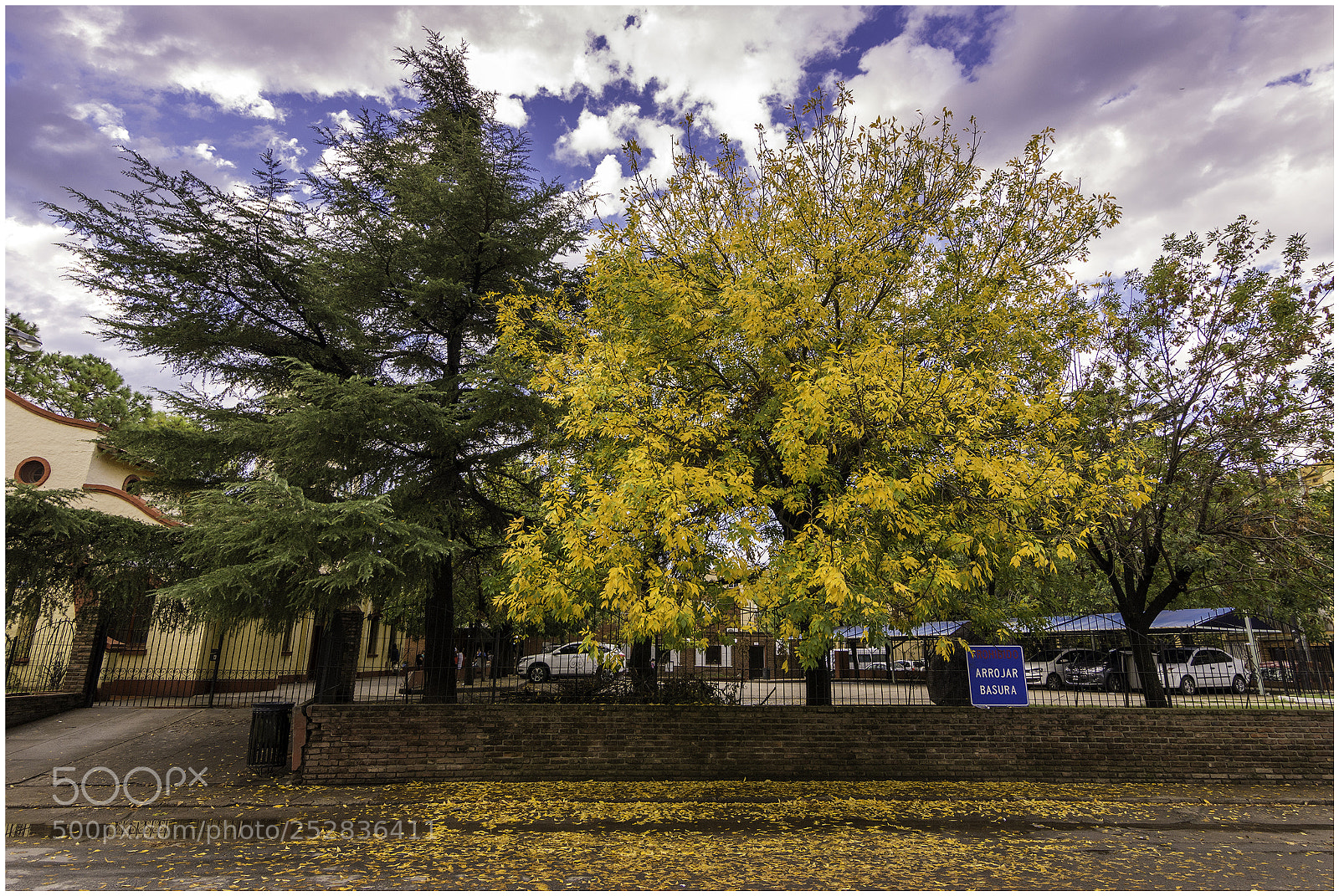 Nikon D7200 sample photo. Otoño en rucci photography