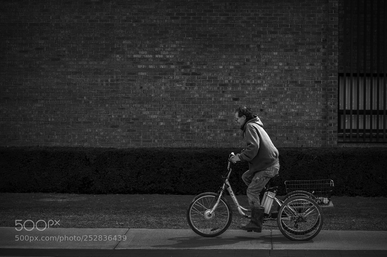 Nikon D500 sample photo. Tricycle rider. windsor, on. photography